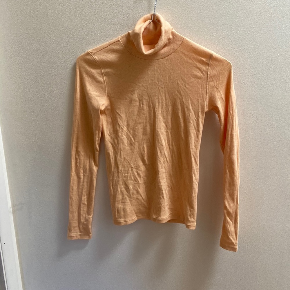 Everlane Turtleneck